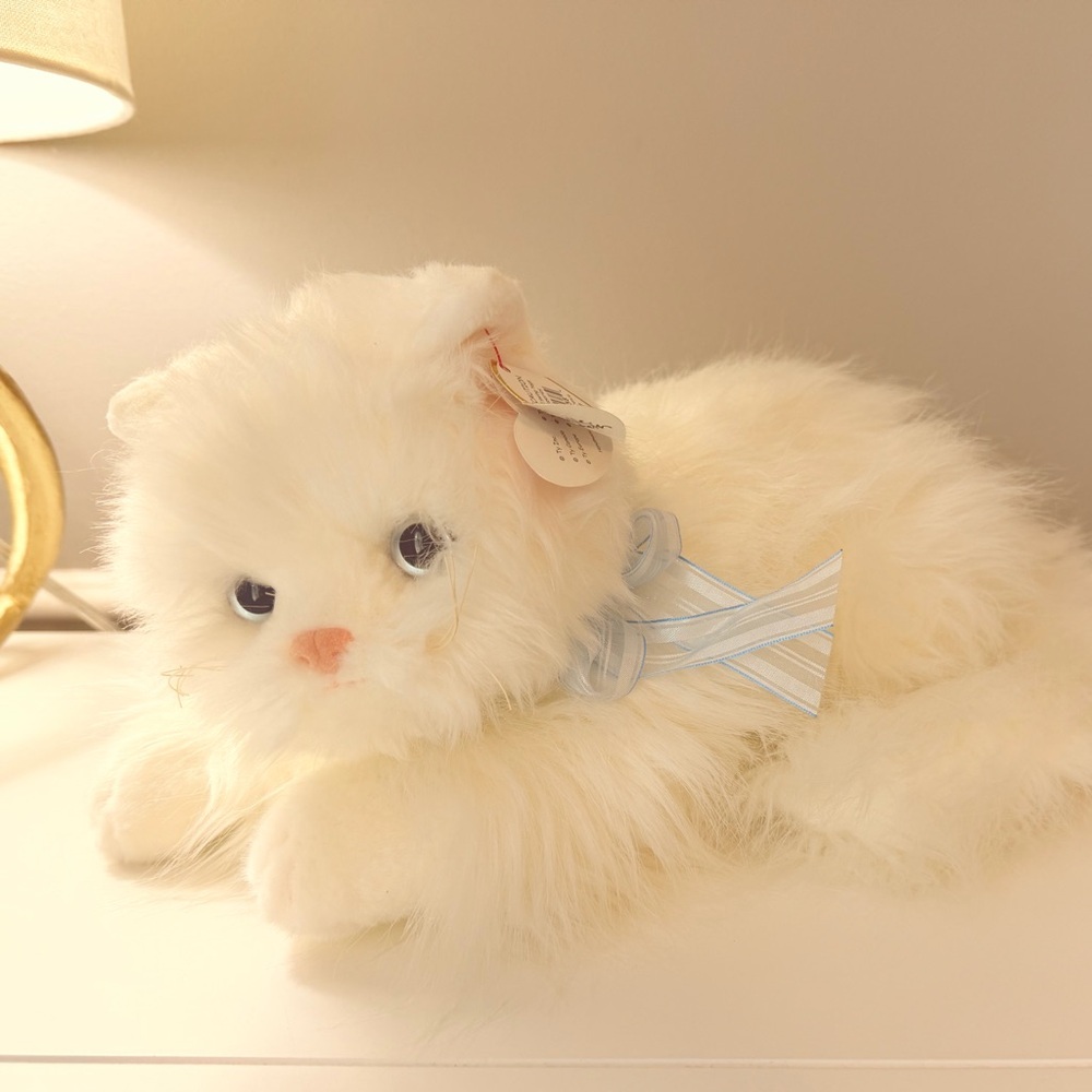 Ty Sugar the cat.